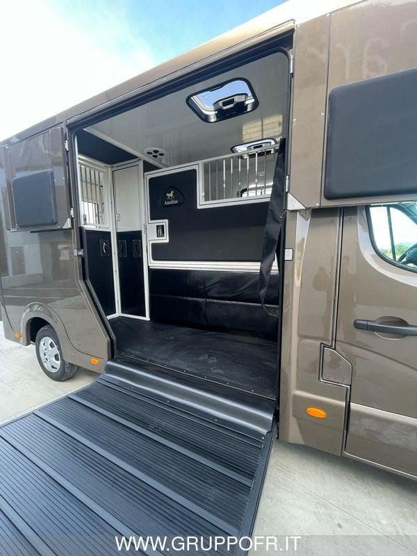 Renault Master AMELINE dCi 165 CV 3 POSTI HARAS