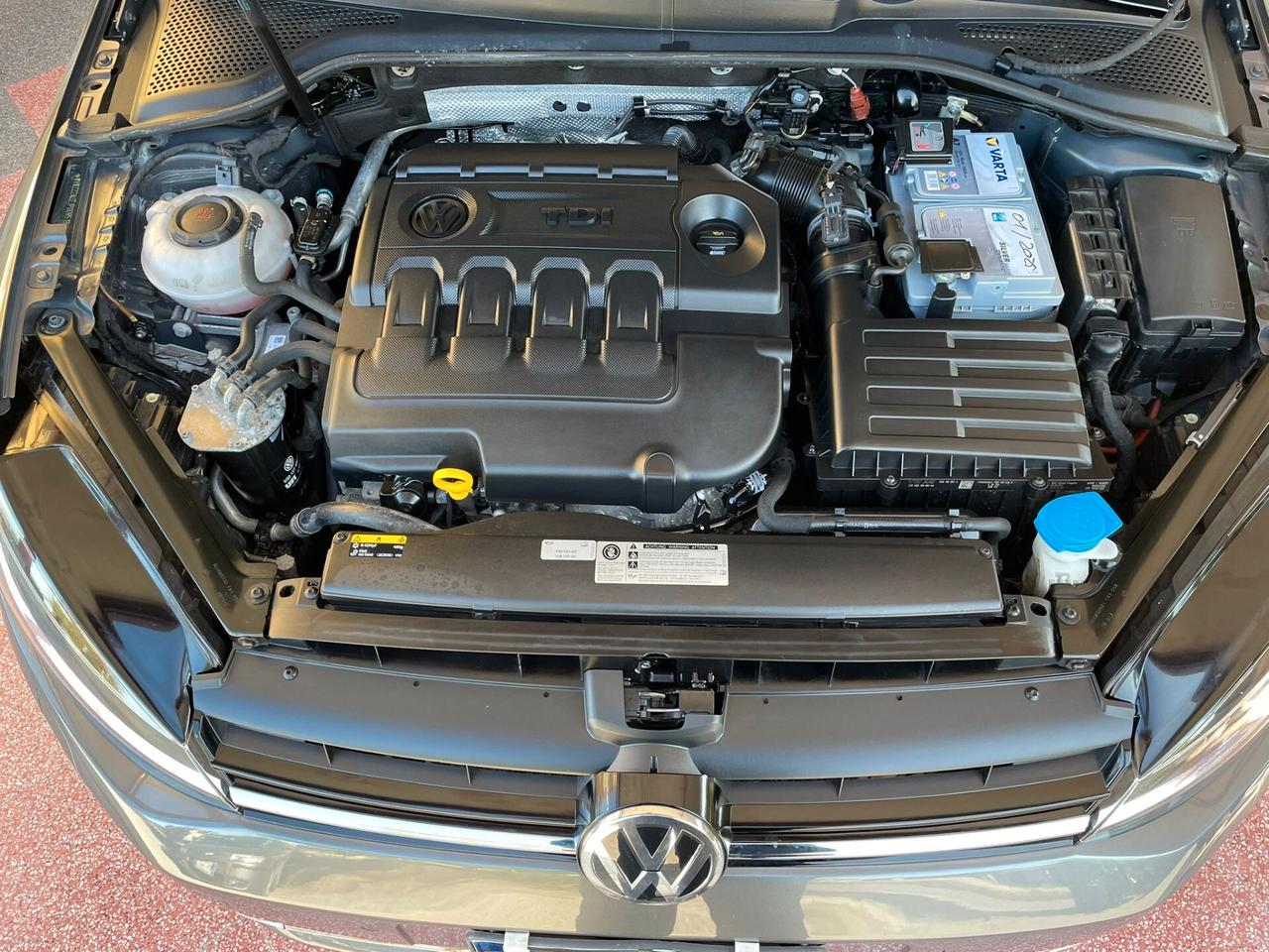 Volkswagen Golf VII 1.6 TDI BlueMotion