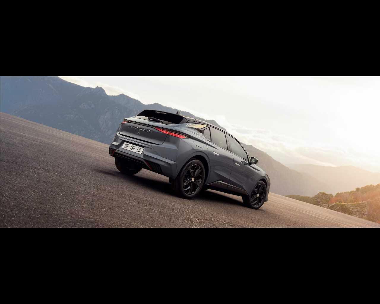 DS N°4 PALLAS HYBRID 145
