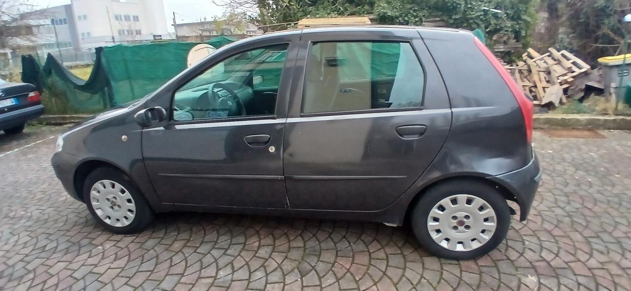 Fiat Punto 1.2 5 porte neopatentati