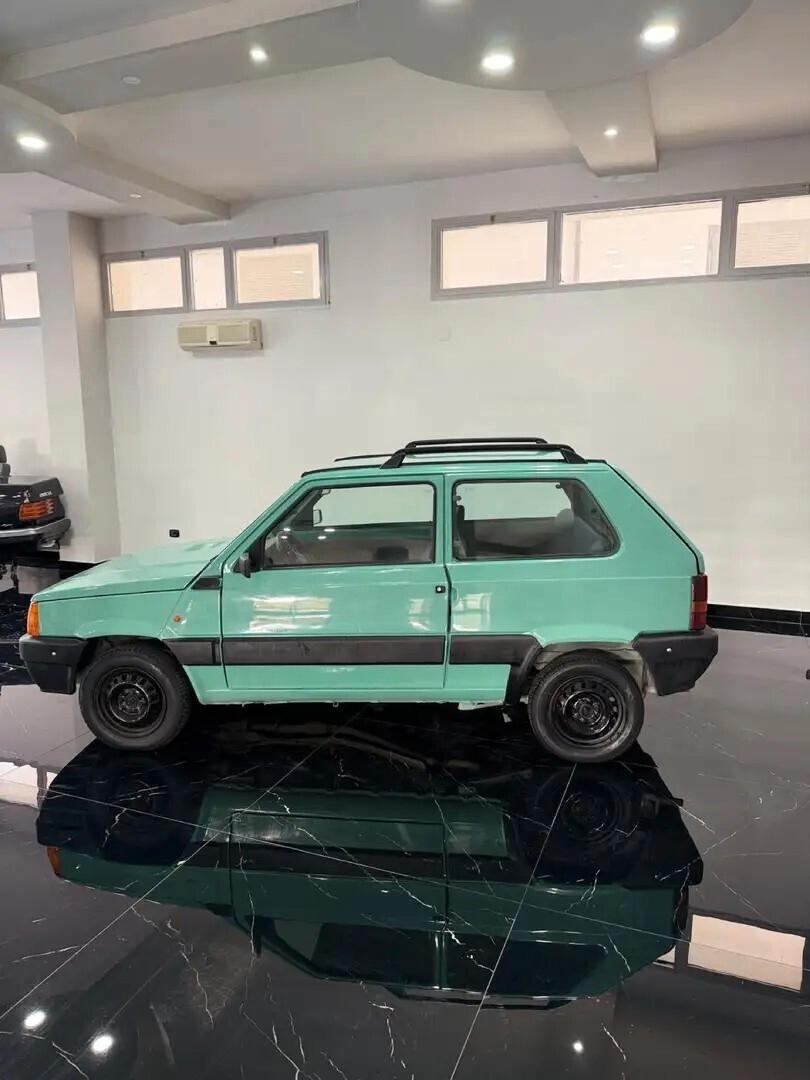 Fiat Panda 900 i.e. cat Young