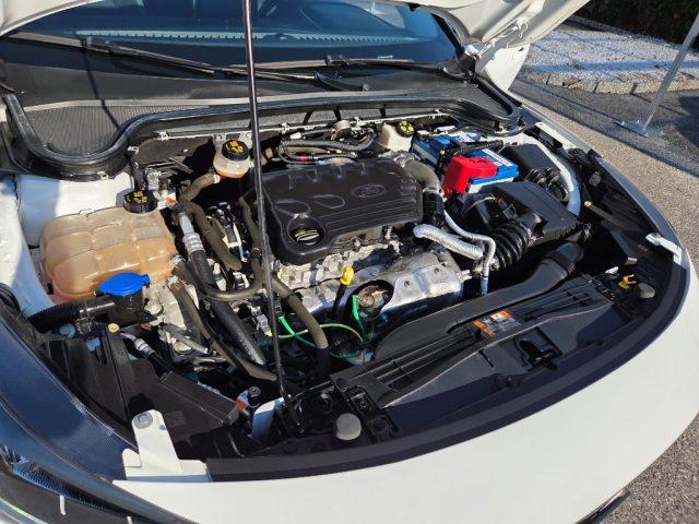 FORD Focus N1 1.5 EcoBlue 120 CV SW Business N1 AUTOCARRO