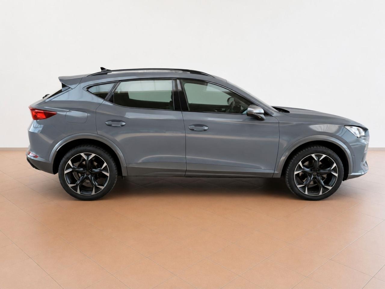 Cupra Formentor 2.0 TDI 4Drive DSG