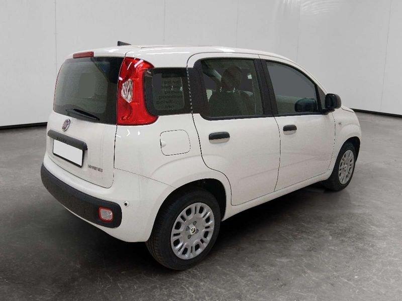 FIAT Pandina 1.0 firefly hybrid Icon s&s 70cv 5p.ti