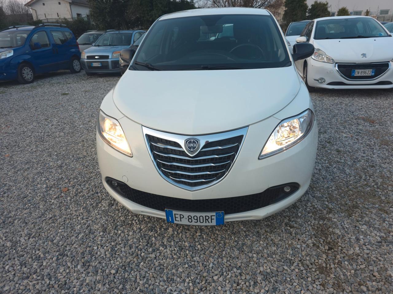 Lancia Ypsilon 1.3 MJT 16V 95 CV 5 porte S&S Platinum