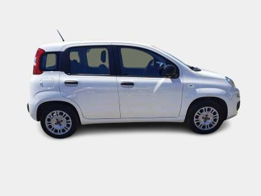 FIAT PANDA 1.2 69cv S/S E6d-Temp Easy 5 PORTE