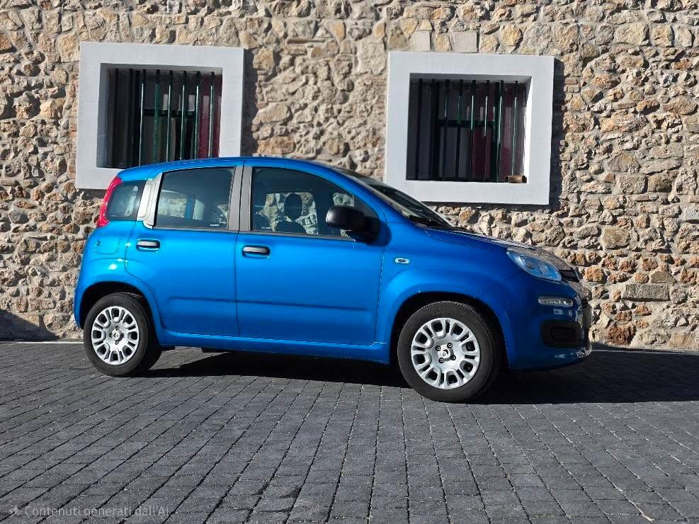 Fiat Panda 1.0 FireFly S&S Hybrid Pandina