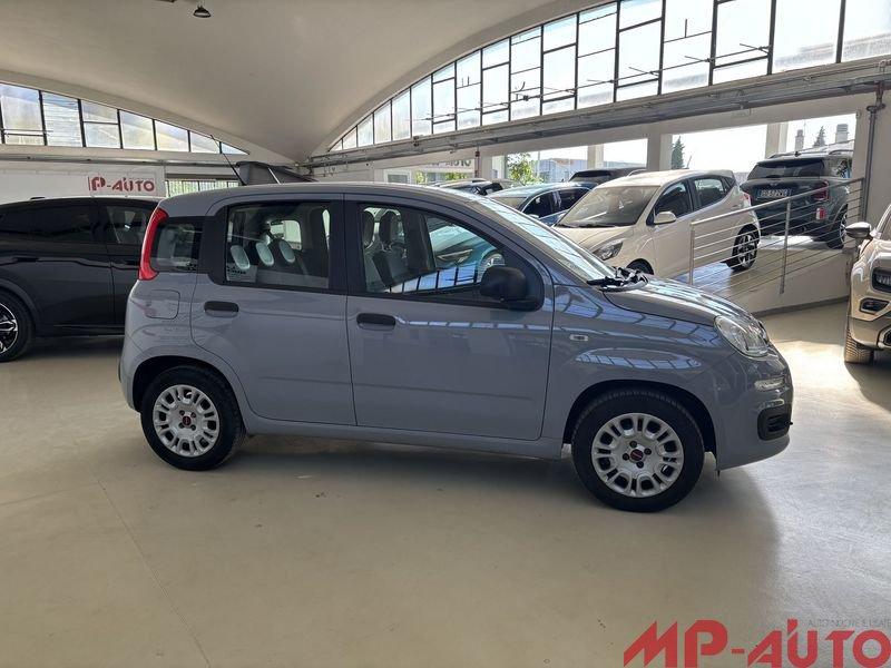 FIAT Panda 1.2 69cv BENZINA UNICO PROPRIETARIO