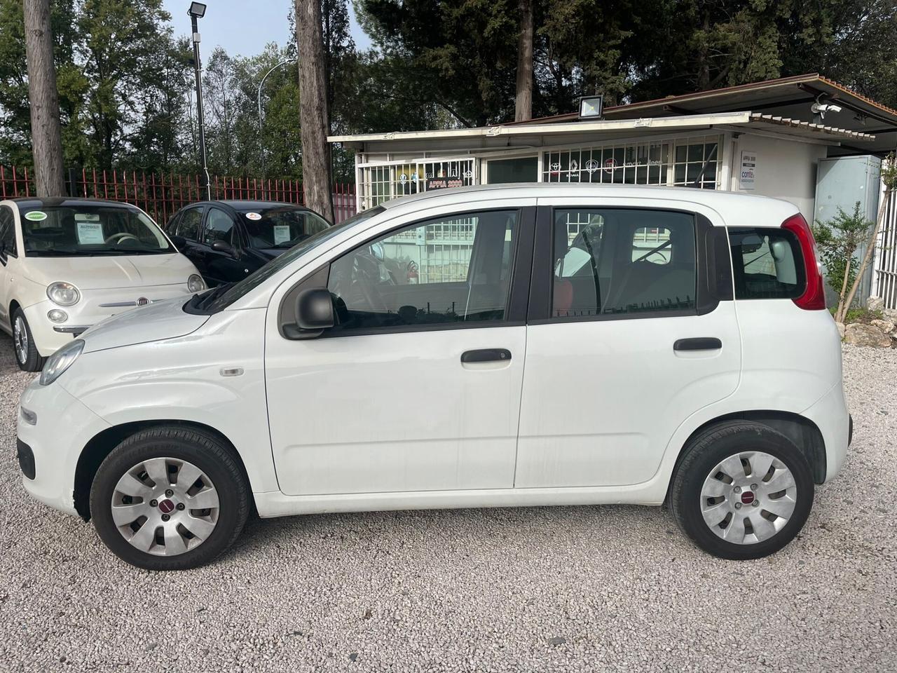 Fiat Panda 1.2 Easy, PEZZO REALE, NEOAPTENTATI, EURO 6 D TEMP