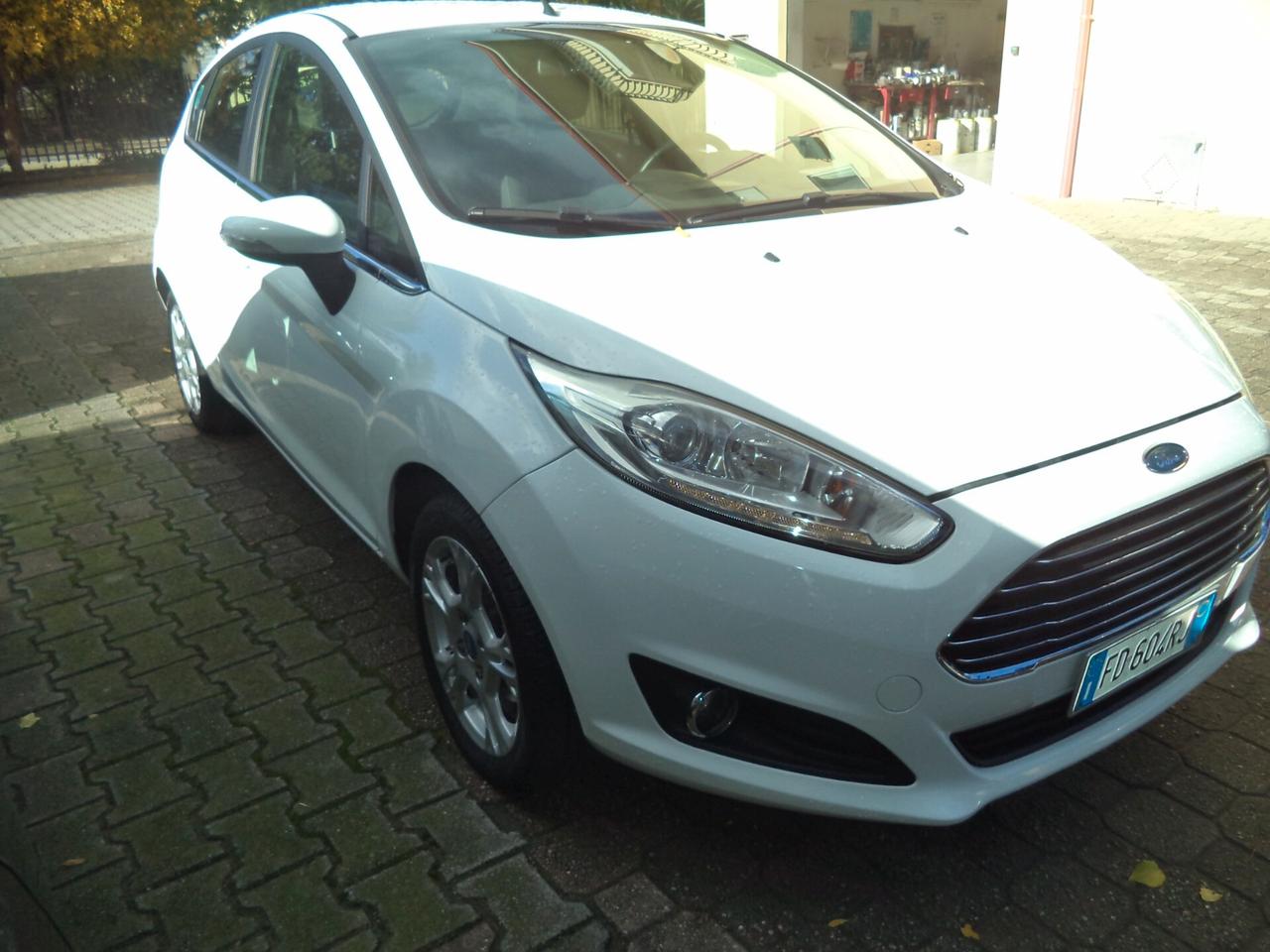 Ford Fiesta 1.5 TDCi 75CV 5 porte Black & White Edition