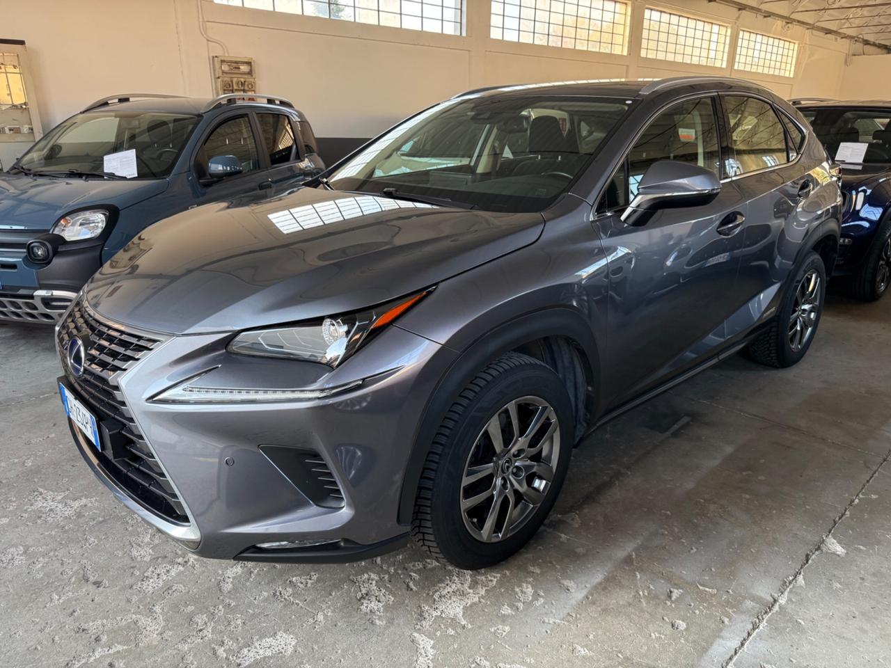 Lexus NX 300h Hybrid Business