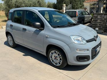 Fiat Panda fiat panda 1.2.. gpl EasyPower Lounge