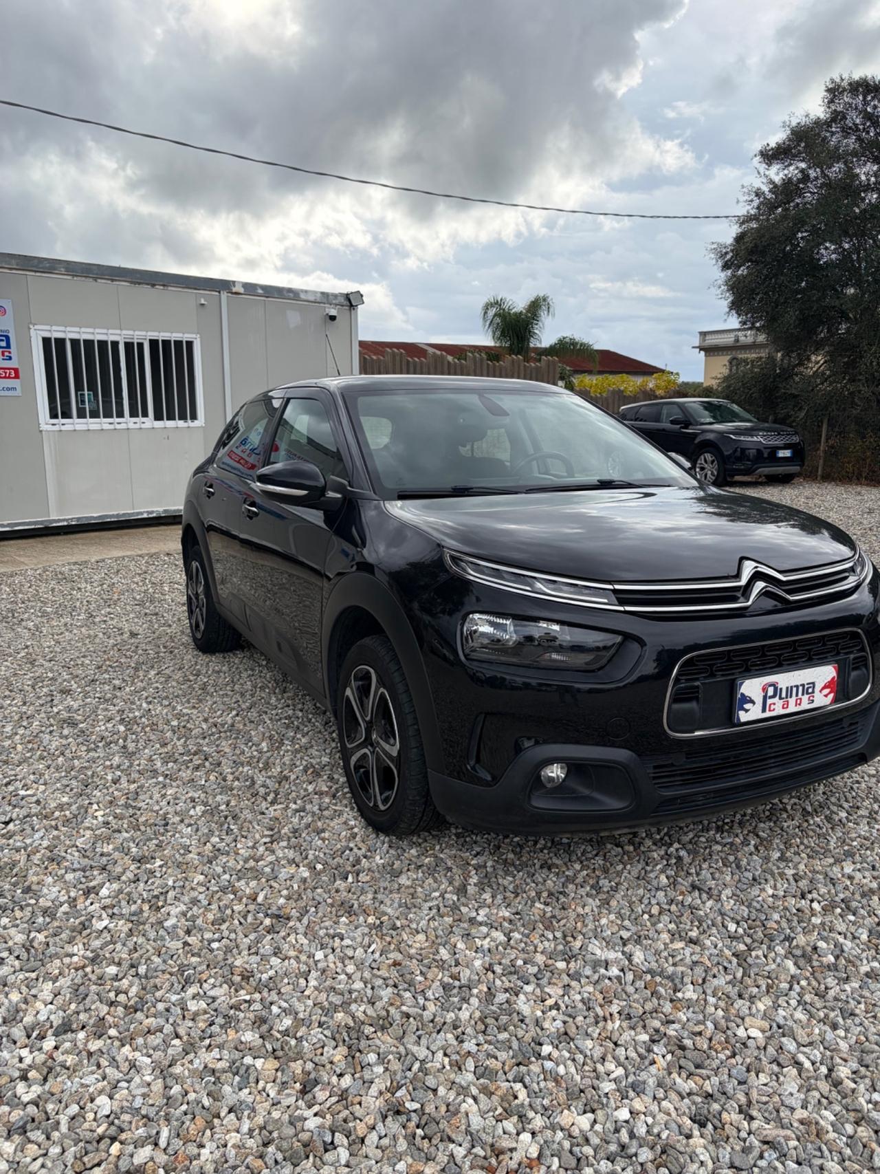 Citroen C4 Cactus BlueHDi 100 S&S Shine Pack