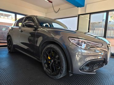 Alfa Romeo Stelvio 2.2 160cv AT8 2018 FINANZIABILE