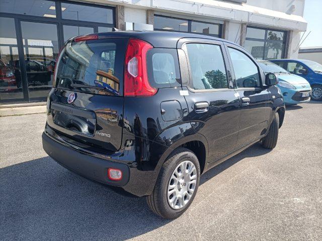 FIAT Panda 1.0 FireFly S&S Hybrid PREZZO REALE