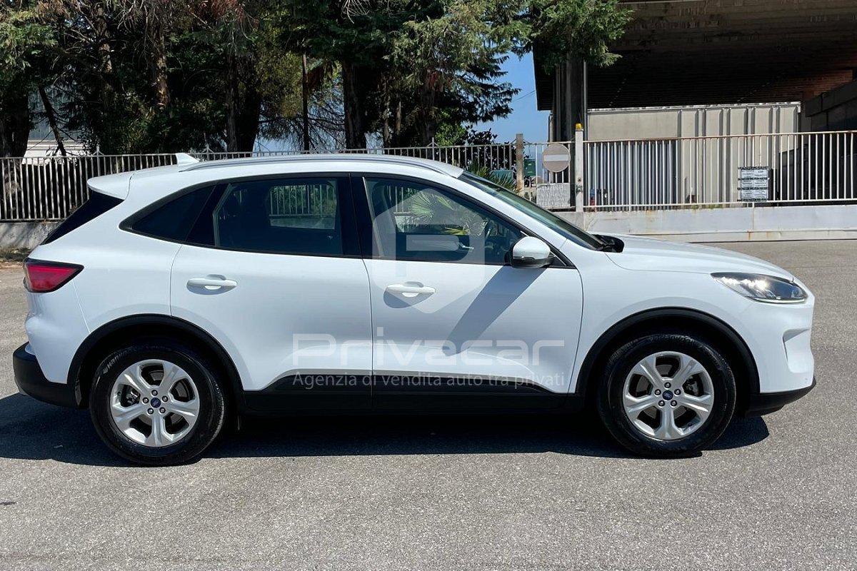 FORD Kuga 1.5 EcoBlue 120 CV 2WD Titanium Business
