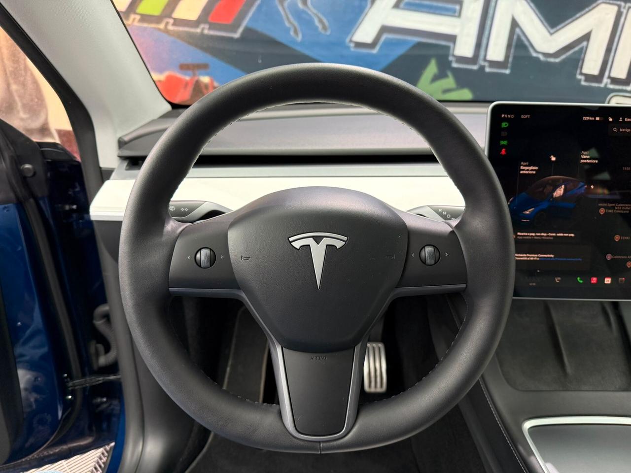 Tesla Model Y AWD Performance (265)