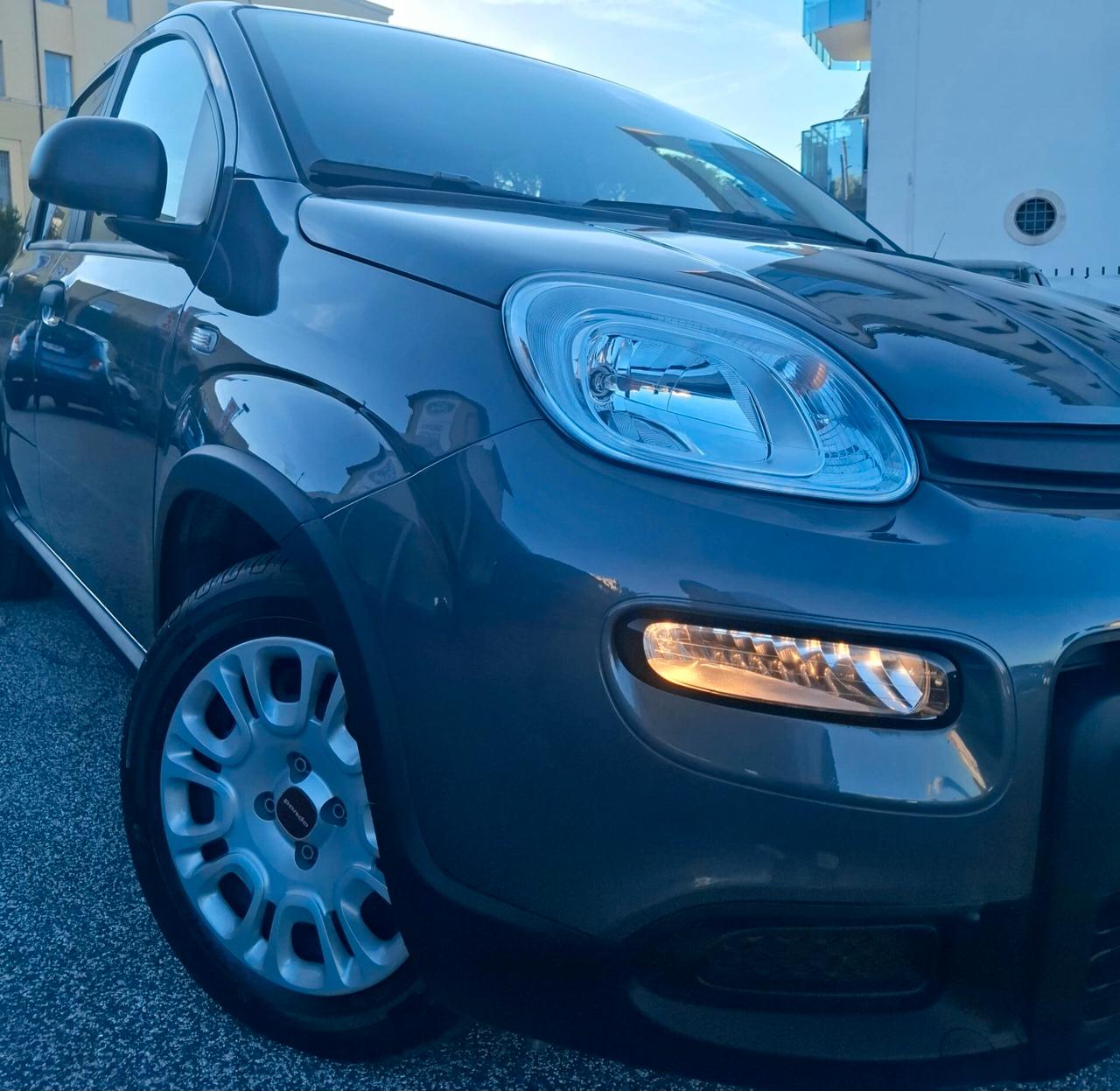 Fiat Panda 1.0 FireFly S&S Hybrid - 2023