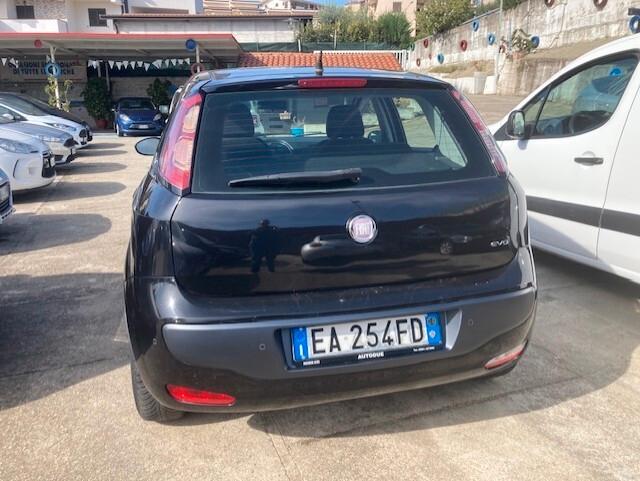 Fiat Punto Evo Punto Evo 1.4 5 porte Active GPL