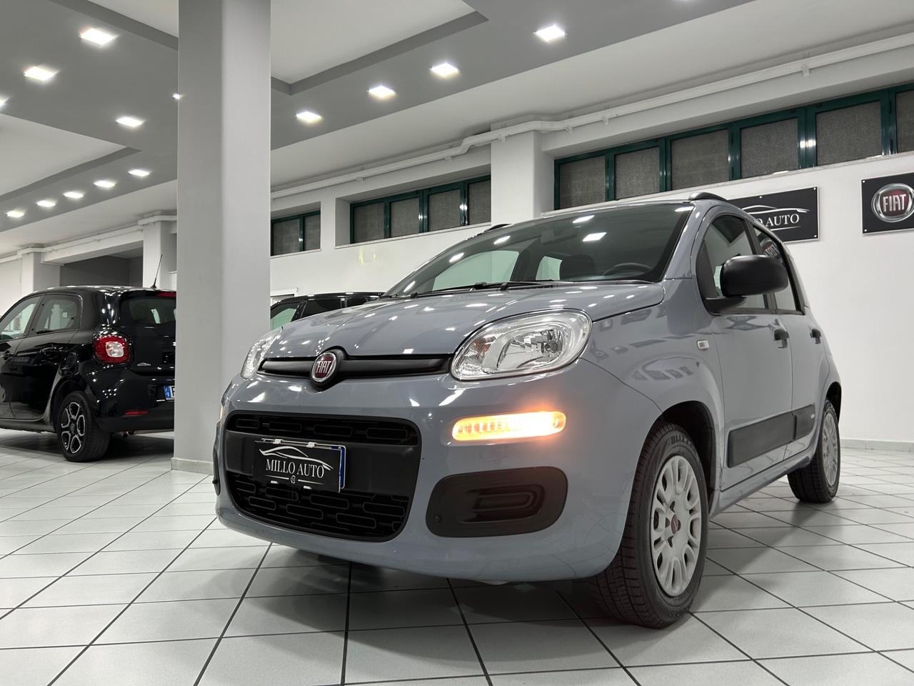 Fiat Panda 1.2cc 69cv Easy UNICO PROPRIETARIO