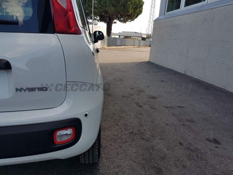 FIAT Panda Panda 1.0 70cv Hybrid Icon