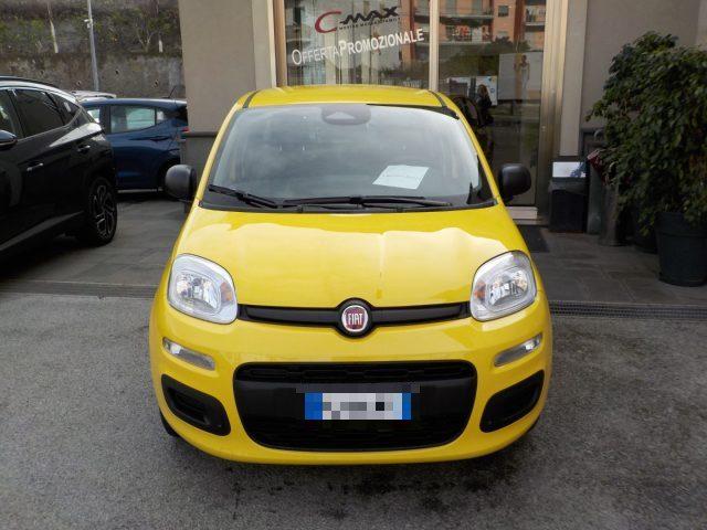 FIAT Panda MY25 - 1.0 FireFly Hybrid ICON