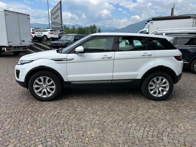 LAND ROVER Range Rover Evoque 2.0 eD4 5p. Business Edition AUTOCARRO N1+IVA
