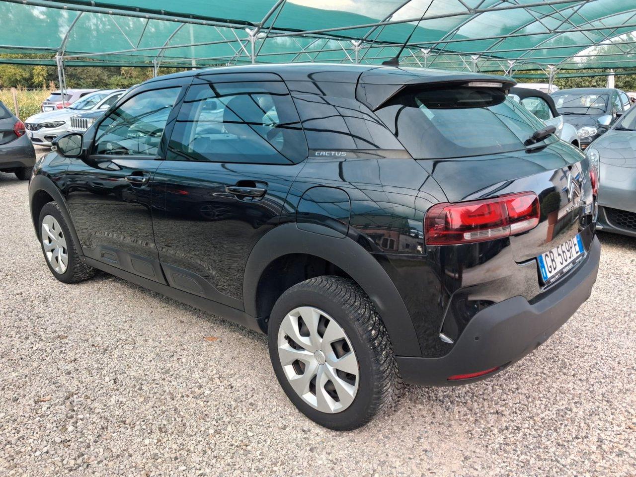 Citroen C4 Cactus 1.5 bluehdi Feel s&s 100cv my19
