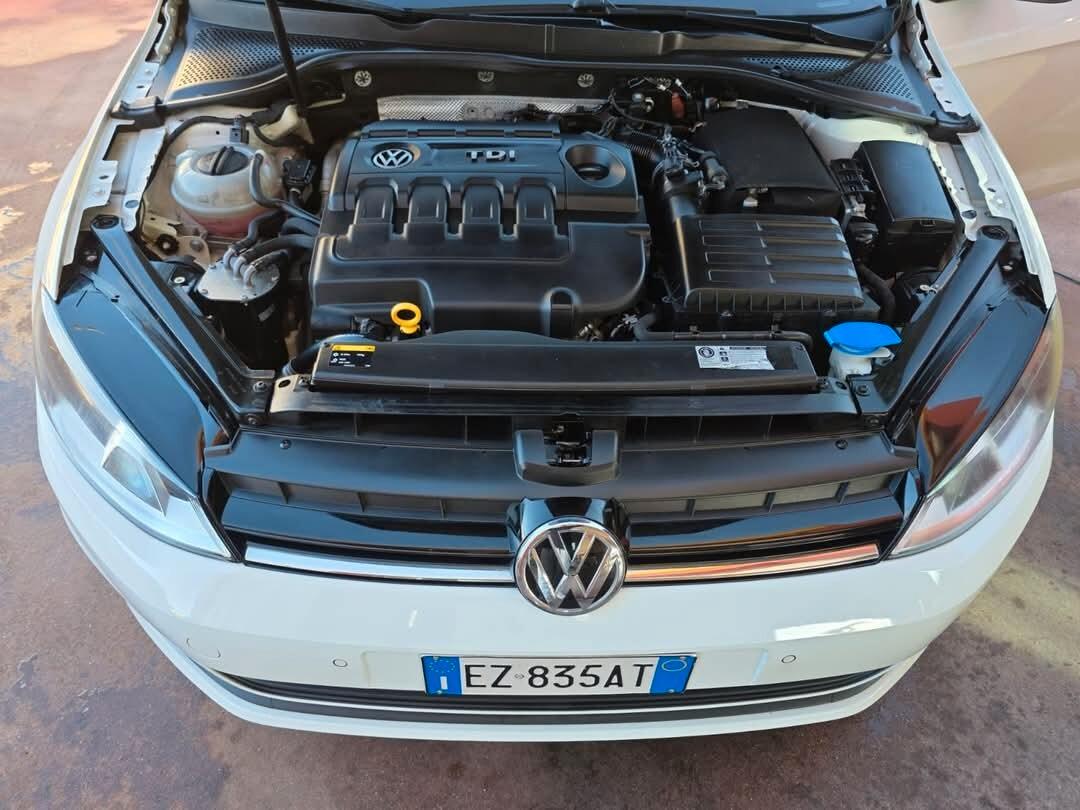 Volkswagen Golf 1.6 TDI 5p. Comfortline BlueMotion Technology