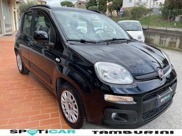 FIAT Panda Panda 1.2 Lounge