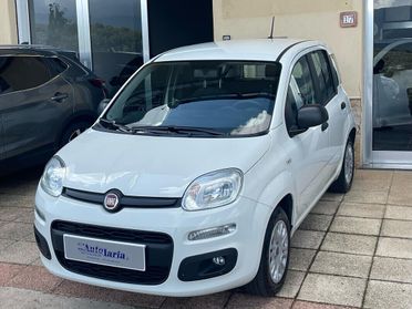 Fiat Panda 1.2 Easy 69cv my19 "Adatta anche per neopatentati" (Fendinebbia - Clima - Uconnect - Usb - Ruotino)