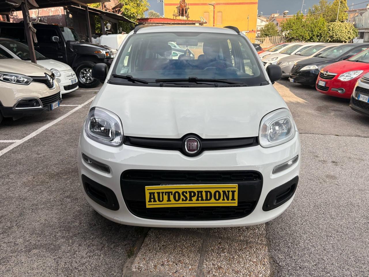 Fiat Panda 1.2 Lounge neopatentati