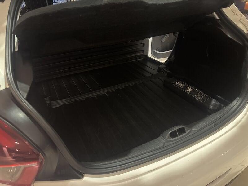 Peugeot 208 BlueHDi 100 S&S 5 porte Van Active 5.500 + IVA