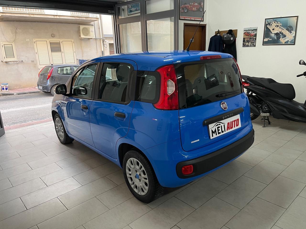 Fiat Panda 1.2 Benzina 69 CV Pandazzurri