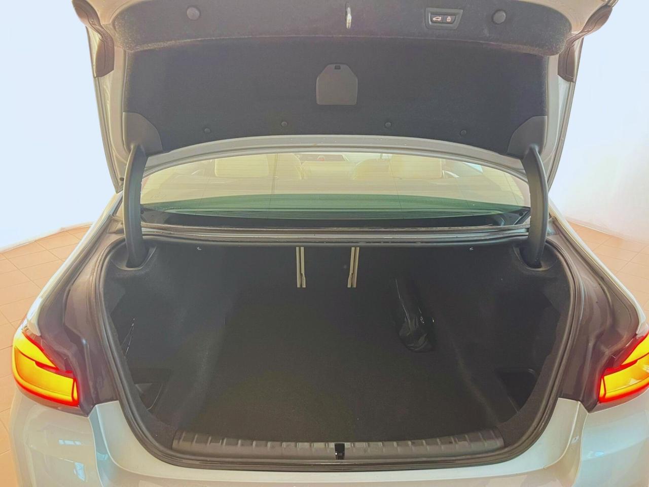 Bmw 520 520d 48V Business