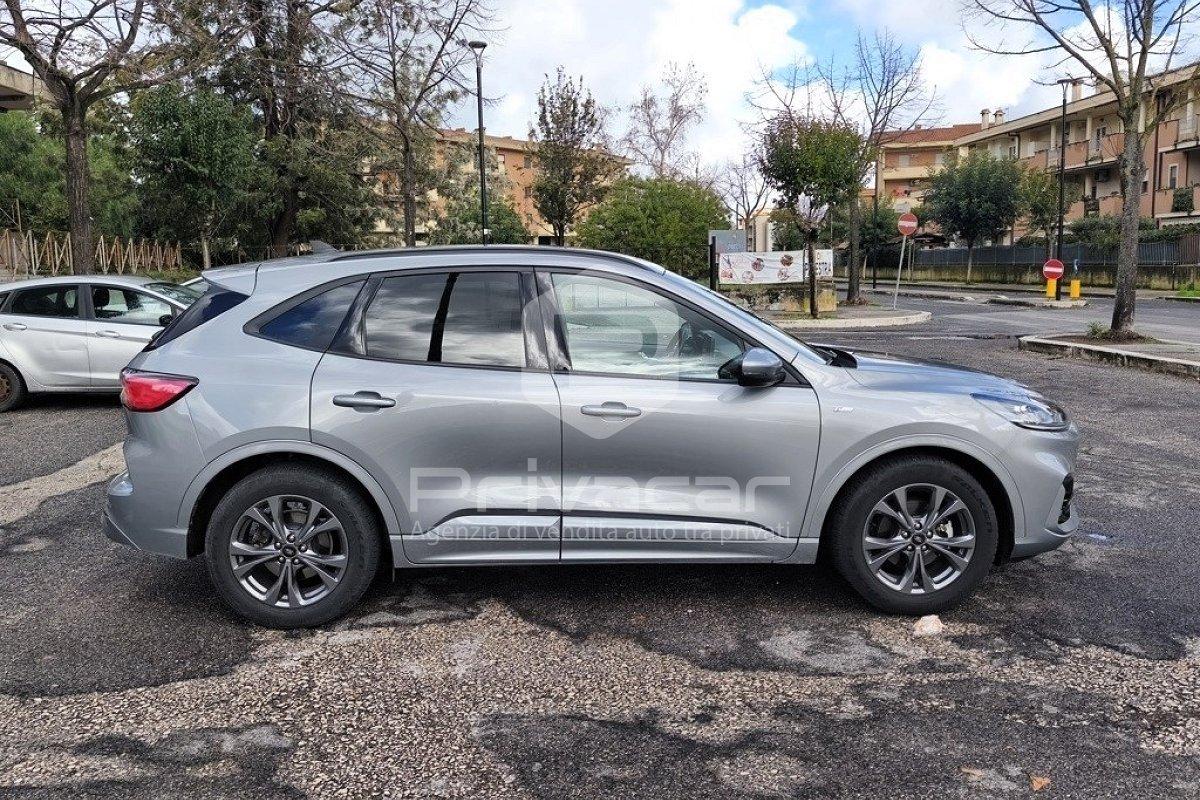FORD Kuga 1.5 EcoBlue 120 CV 2WD ST-Line