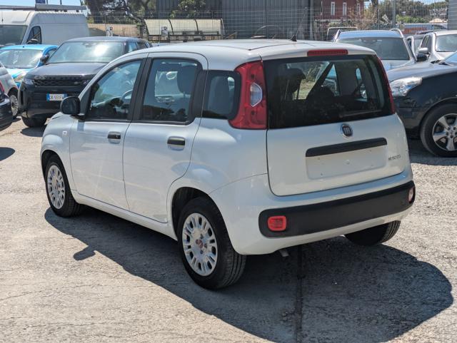 FIAT Panda HYBRID FIREFLY 1.0cc 70cv