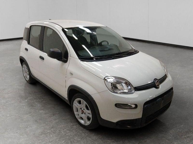 FIAT Panda 1.0 firefly hybrid s&s 70cv 5p.ti