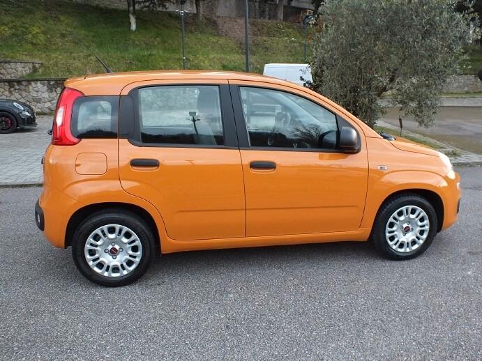 Fiat Panda 1.0 FireFly Hybrid*SOLO 50.000KM*UNIPRO*