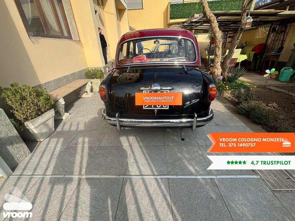 FIAT 1100 TV 103