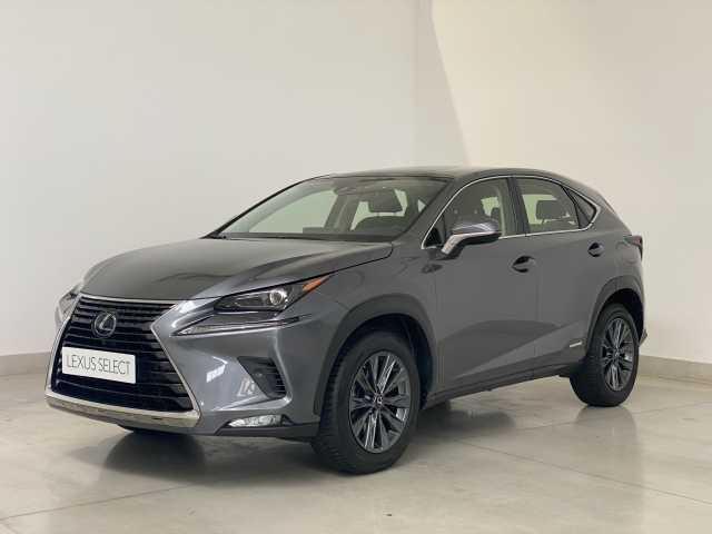 Lexus NX Hybrid 4WD Premium