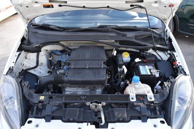 FIAT Punto 1.2 8V 5 porte Lounge