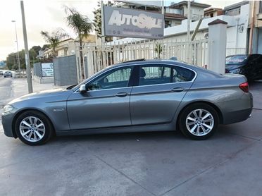 Bmw 525 525d Luxury