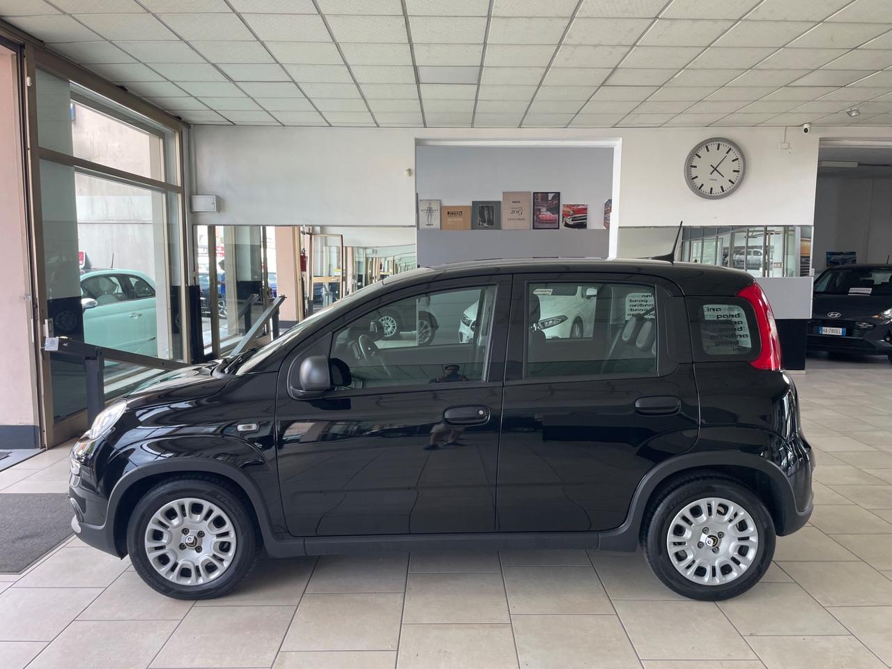 Fiat Panda 1.0 FireFly S&S Hybrid Pandina - Nessun vincolo -
