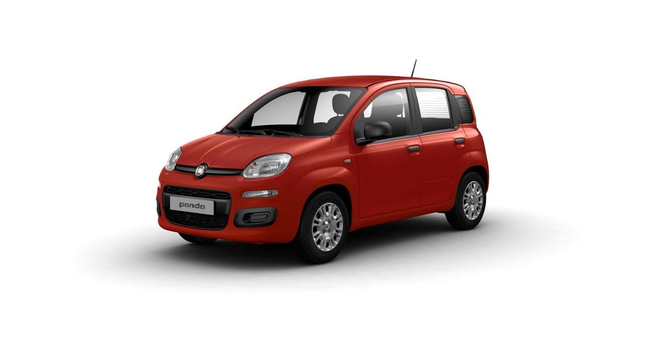 FIAT Pandina Pandina 1.0 FireFly 65 CV Hybrid Icon