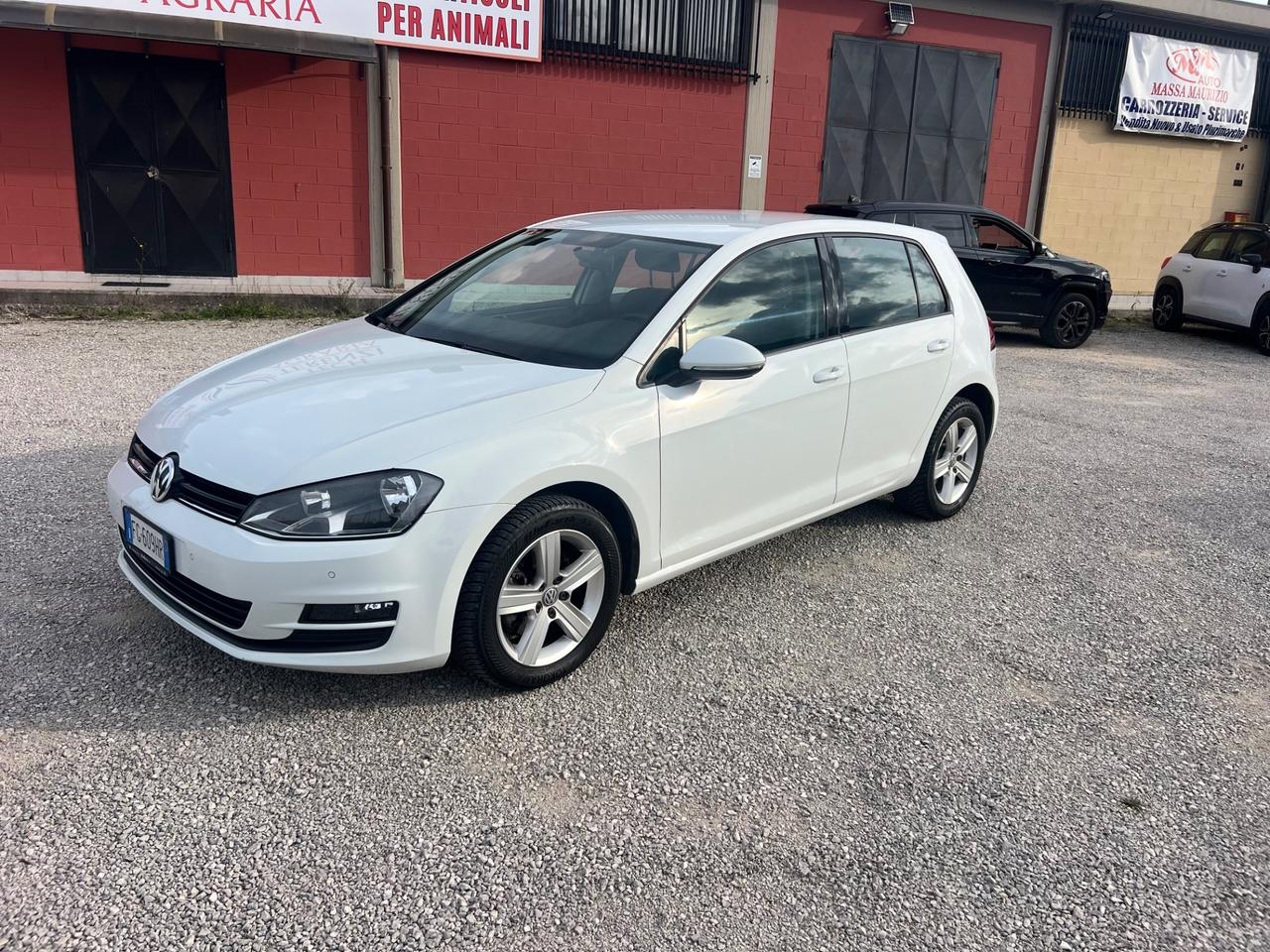 Volkswagen Golf 1.6 TDI 115 CV 5p. Business BlueMotion Technology