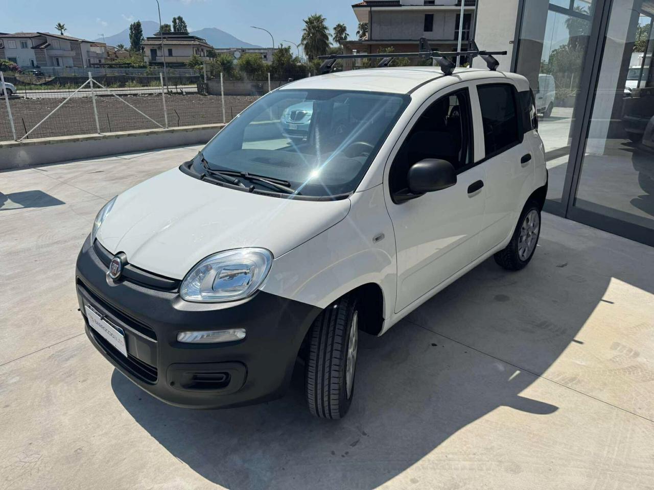 Fiat Panda 0.9 Natural Power Van 2 posti-2021