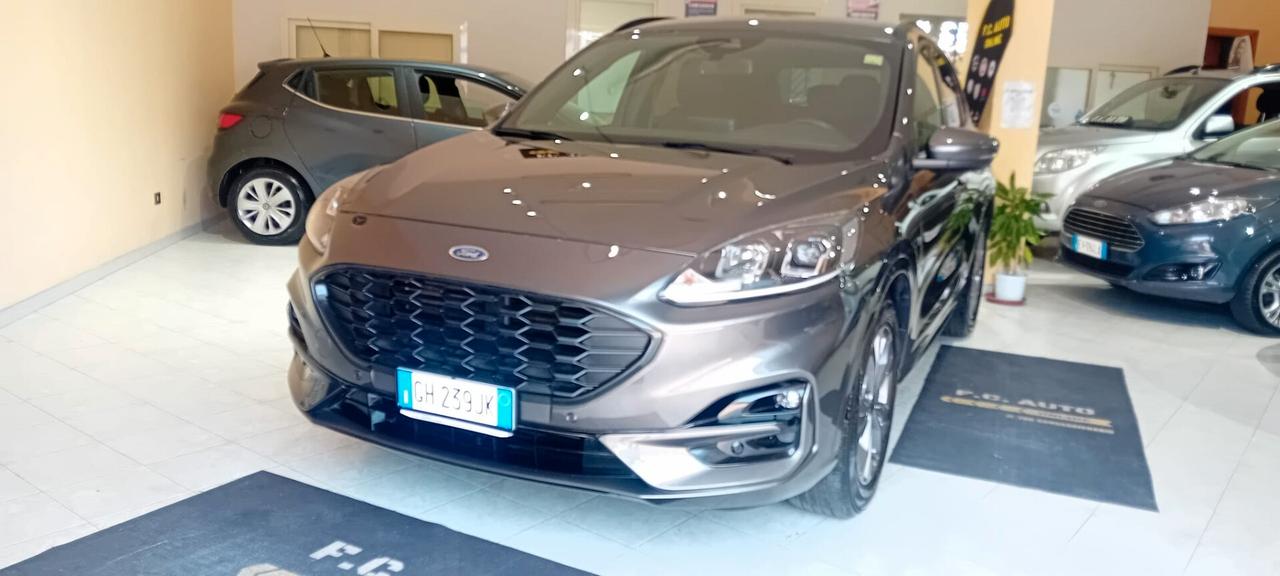 Ford Kuga 1.5 EcoBlue 120 CV aut. 2WD ST-Line