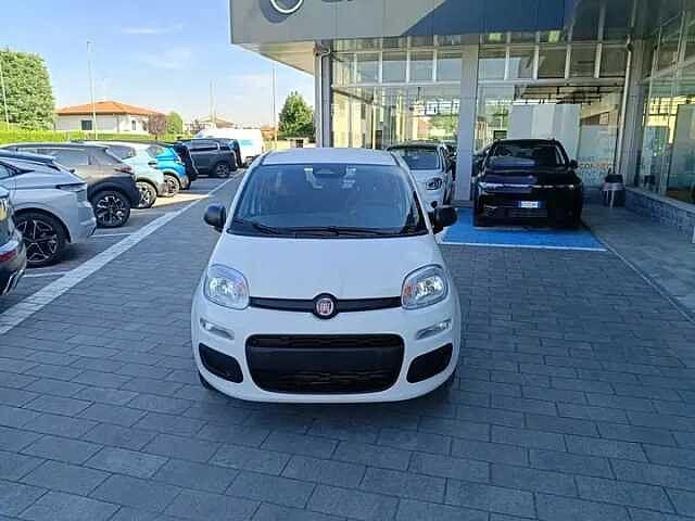 Fiat Panda Hybrid 1.0 FireFly 69cv ICON AZIENDALE