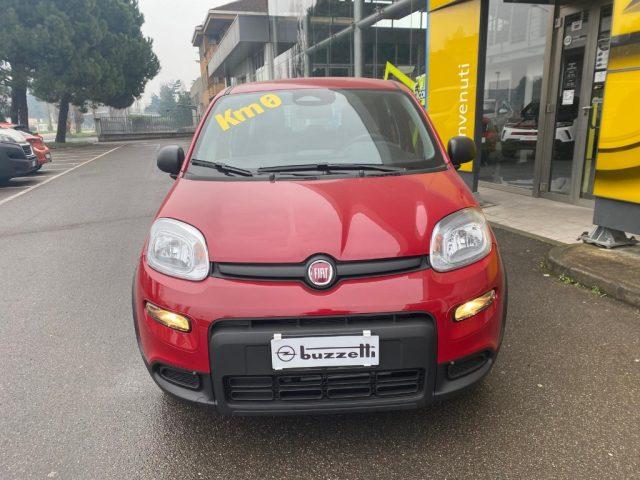 FIAT Panda 1.0 FireFly S&S Hybrid Pandina